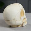 Керамика ручной работы / Piggy bank "Skull"