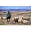 Eco Tour To Armenia for 7 days / 6 nights