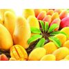 Plum mango