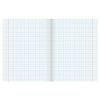 BRAUBERG / Notebook 12 y. cage, cardboard cover, "AMAZING BIRDS" / 20 pcs.