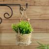 Kaemingk / Artificial plant in flowerpots Cyperus 12 cm