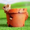 Хорошие сувениры / Jardinière figurée "Ecureuil en pot les pieds dehors"