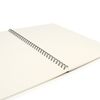 Sketchbook, ivory 150 g/m2, 297 x420 mm, 30 sheets, comb, BRAUBERG ART "CLASSIC"