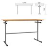 Table table 1200 x600 x760 mm, height 6, gray frame, DSP/plastic, color beech