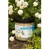 Bath salt "Camomile" SIBERINA