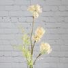 Kaemingk / Artificial bouquet Florance Garden - White Anise 68 cm