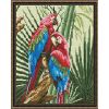 Опт-картина / Khảm kim cương 40x50, kim cương tròn vẹt Macaw