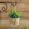 Kaemingk / Artificial plant in pots Aloe 12 cm