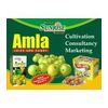 Natural candies from amla berries