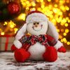 Зимнее волшебство / Soft toy "Snowman-red flowers"