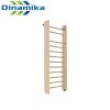 Dinamika / Swedish wall