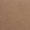 Sketchbook, craft paper 80 g/m2, 205 x290 mm, 50 sheets, comb, hard substrate, BRAUBERG ART "DEBUT"