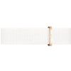 Daniel Wellington / डैनियल वेलिंगटन / घड़ियाँ खूबसूरत DW00100312