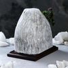 Ваше здоровье /  Bonsai Mountain Salt Lamp