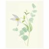 EKSMO / Botanical painting. Inspirational watercolor painting course